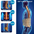 Spinal Air Traction Belt